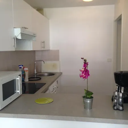 Apartman Floreva *